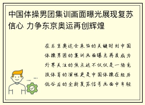 中国体操男团集训画面曝光展现复苏信心 力争东京奥运再创辉煌